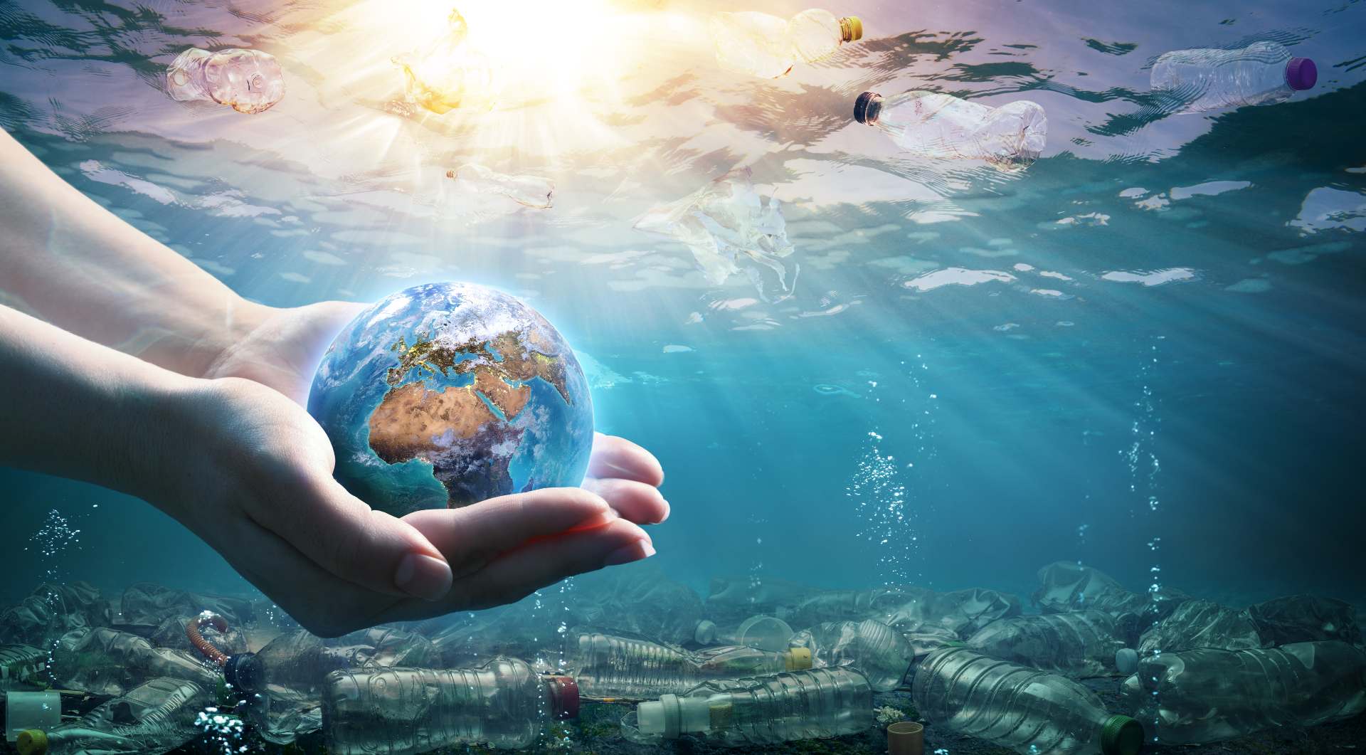 The Seville Aquarium Celebrates Climate Change Awareness Week
