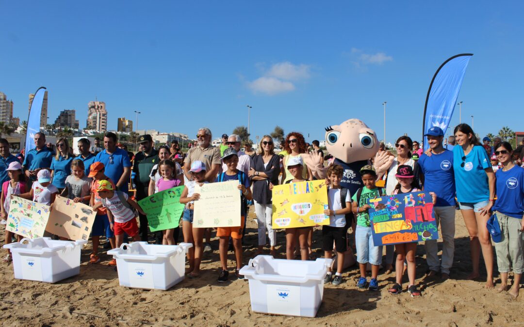 Suelta de seis tortugas Caretta caretta en Torrevieja