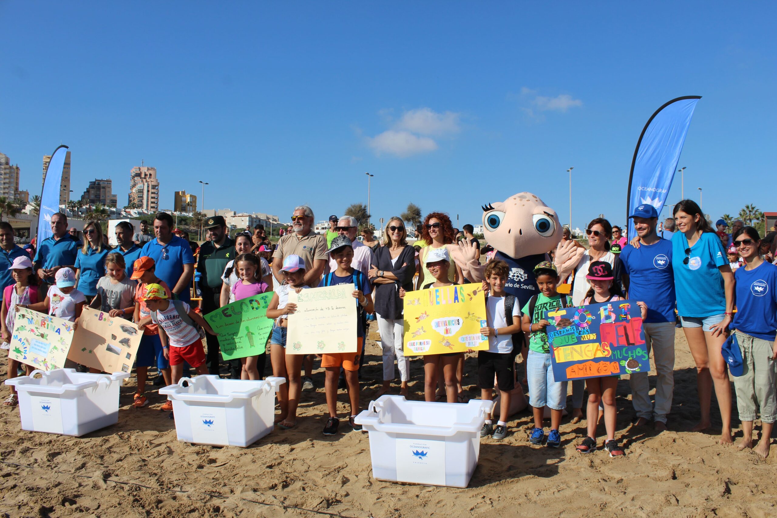 Suelta de seis tortugas Caretta caretta en Torrevieja