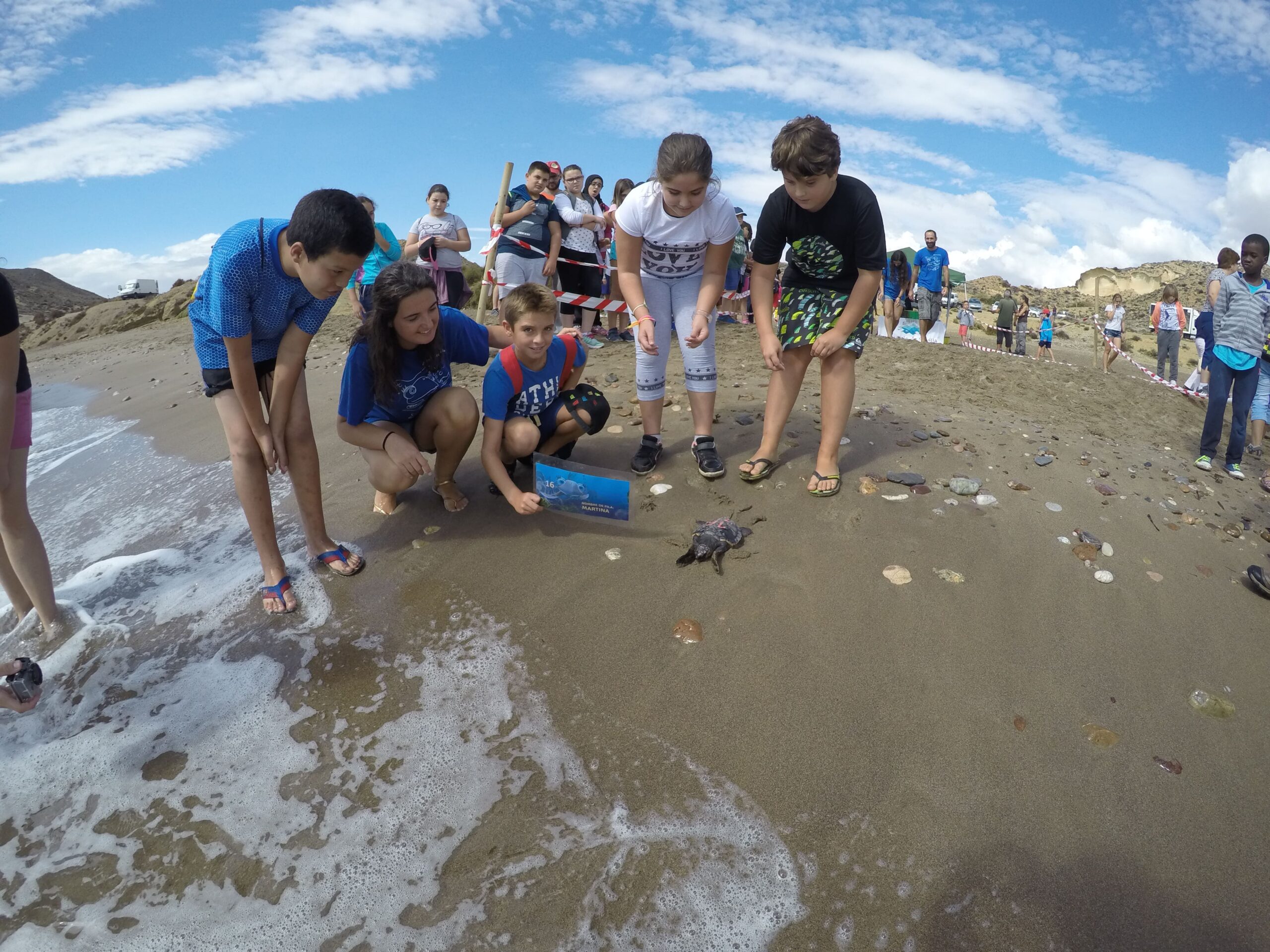 Segunda suelta de tortugas Caretta caretta en las playas de Almería