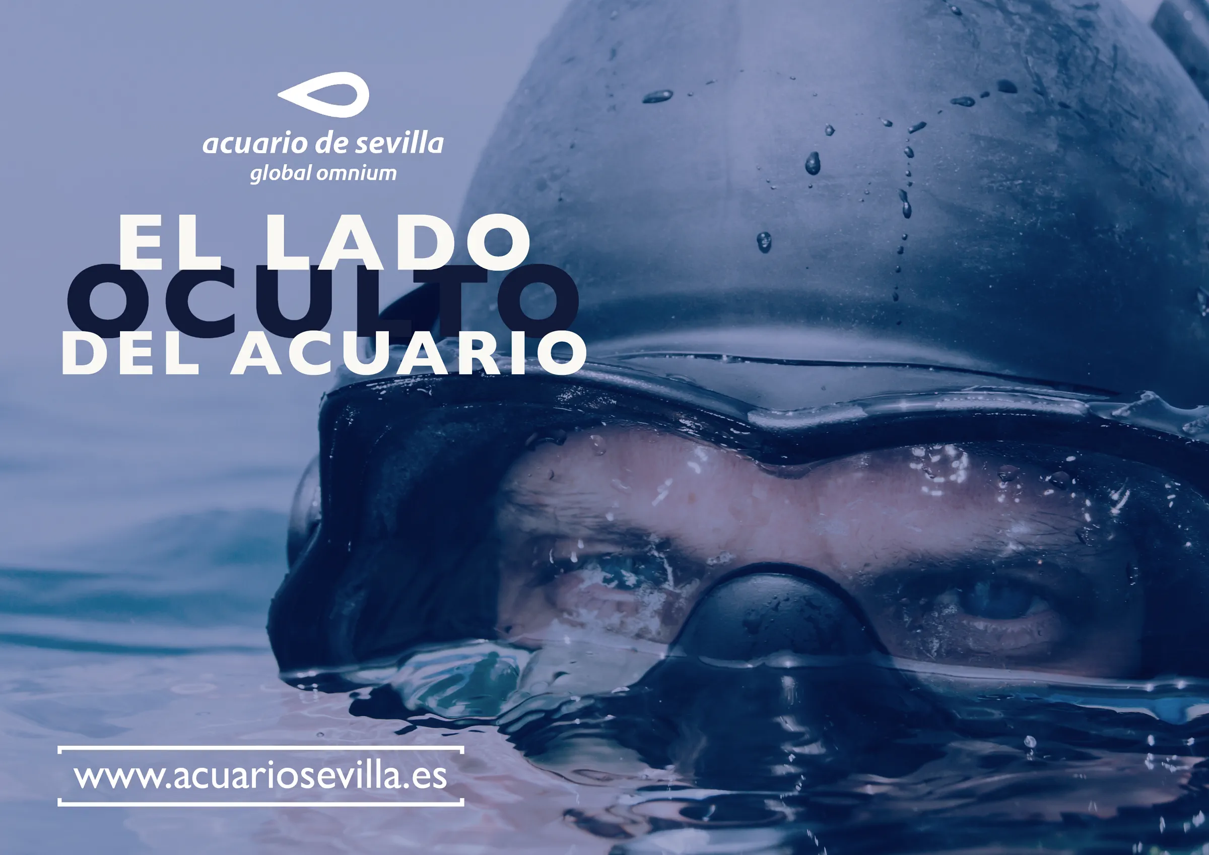 Cartel promocional de una actividad en el acuario
