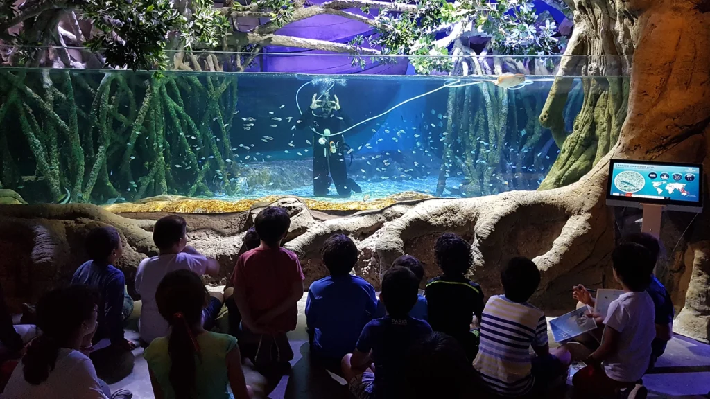Actividad educativa en el acuario