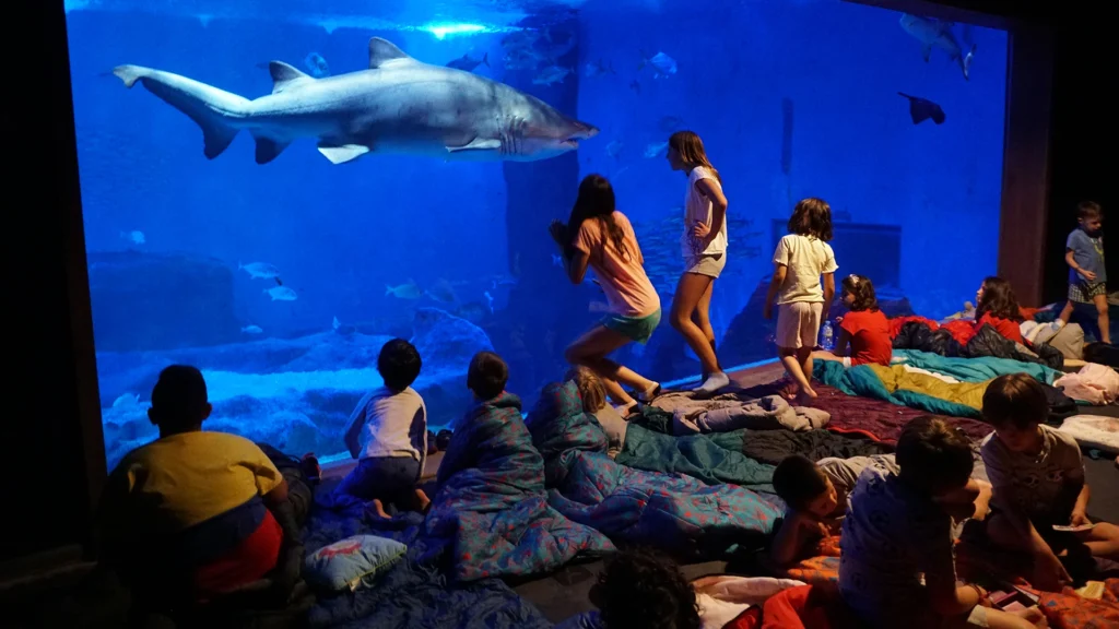 Niños en una actividad nocturna