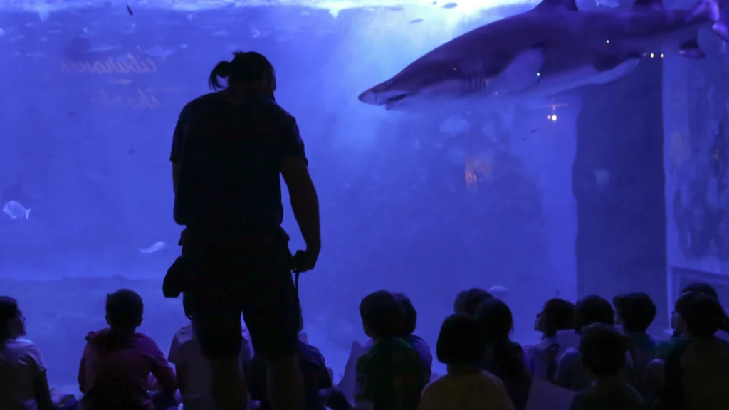 Unos niños realizan una actividad en compañía de un guía en el acuario