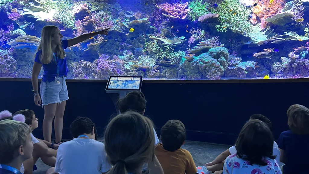 Niños en una visita con un guía al acuario
