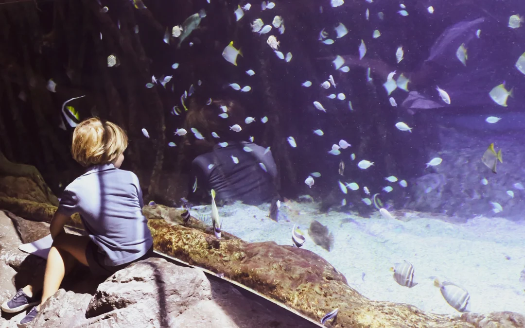 Guided Tour “a Sea of Senses”