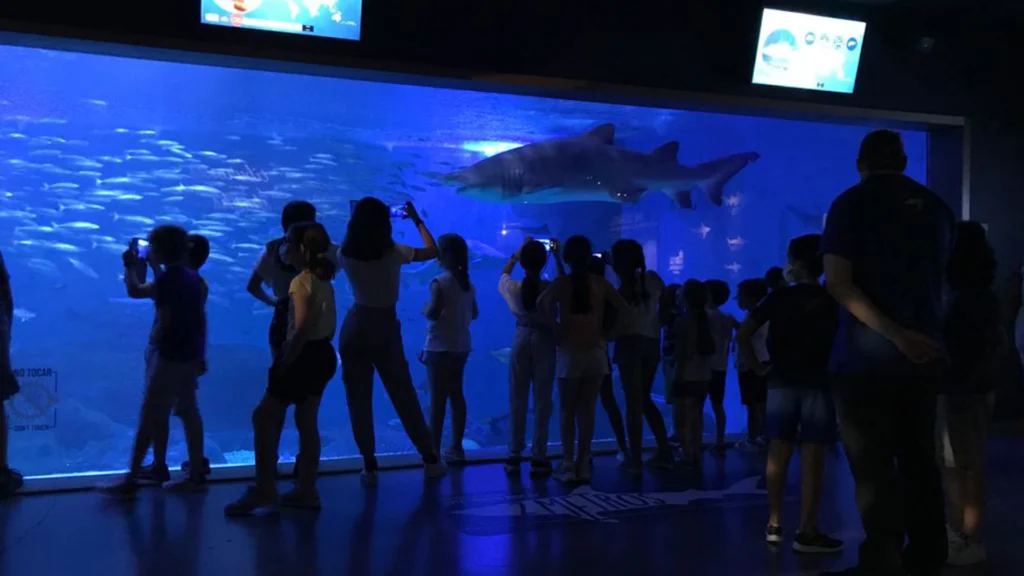 Visita guiada público general visitas al acuario acompañados de un guía