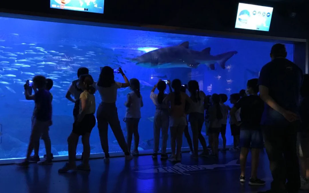 Visita guiada al acuario