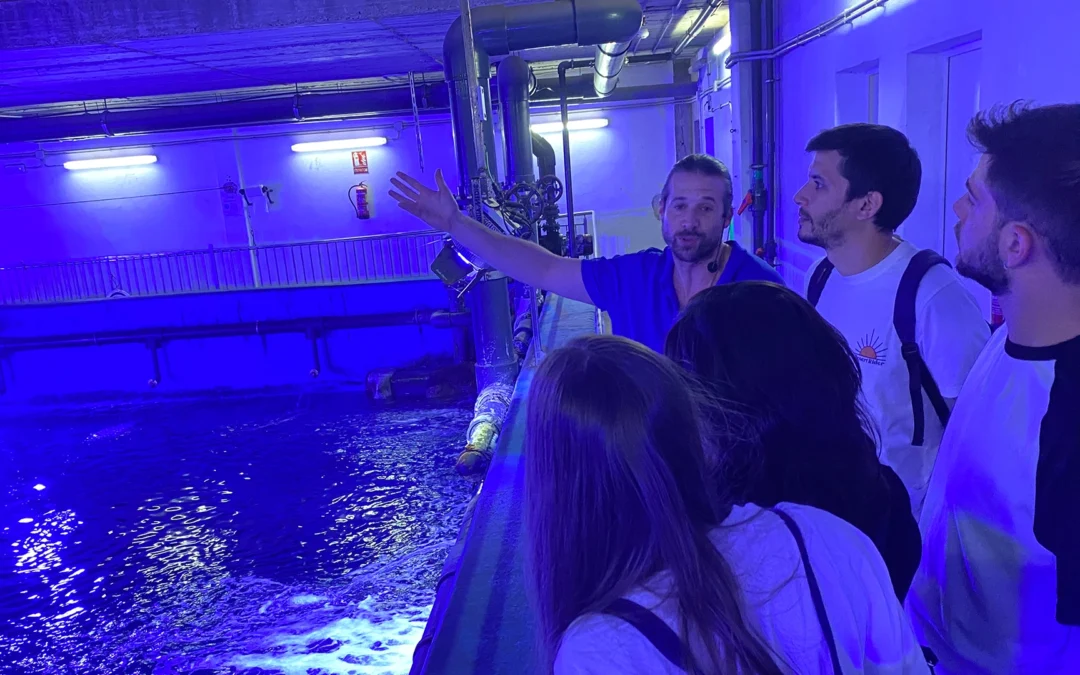 El lado oculto del acuario