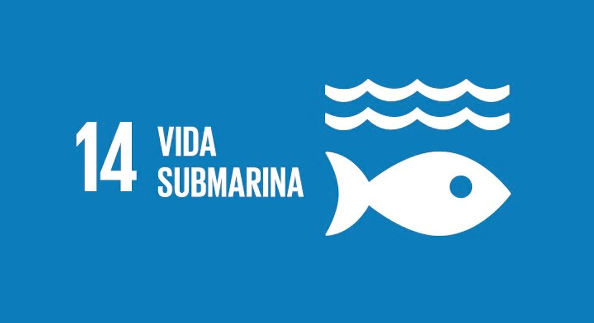 representación gráfica del ODS vida submarina