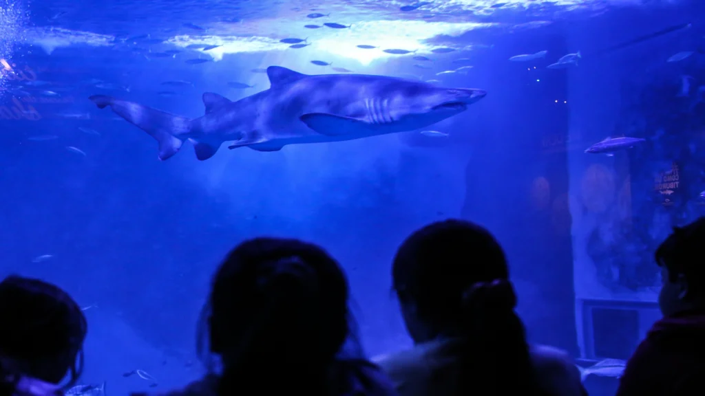 Niños en una visita al acuario