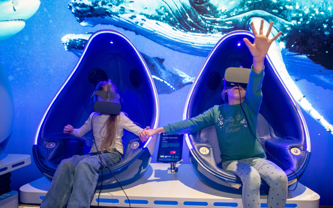 Realidad virtual