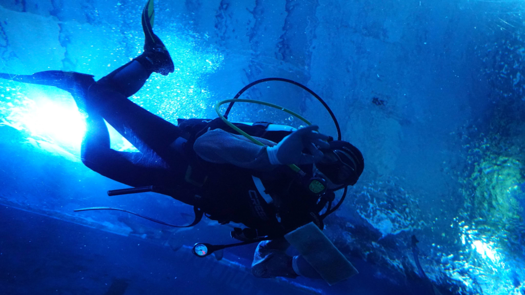 summer activities aquarist