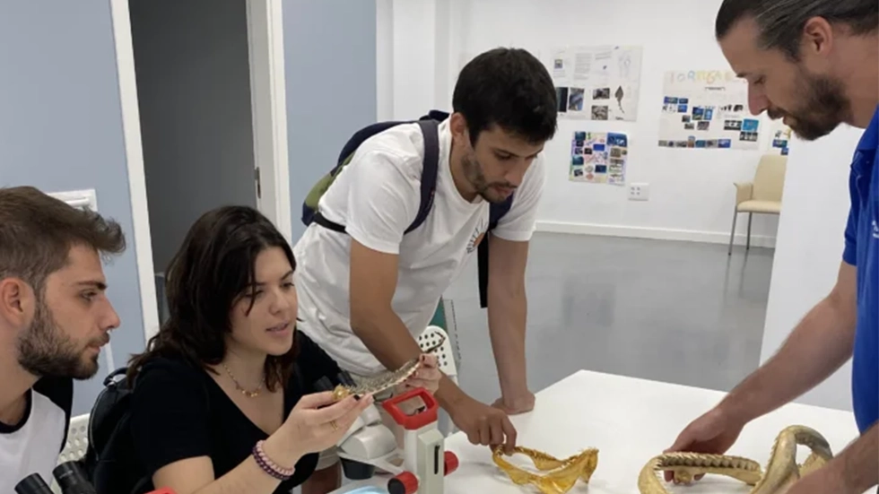 Visita libre y actividad científica