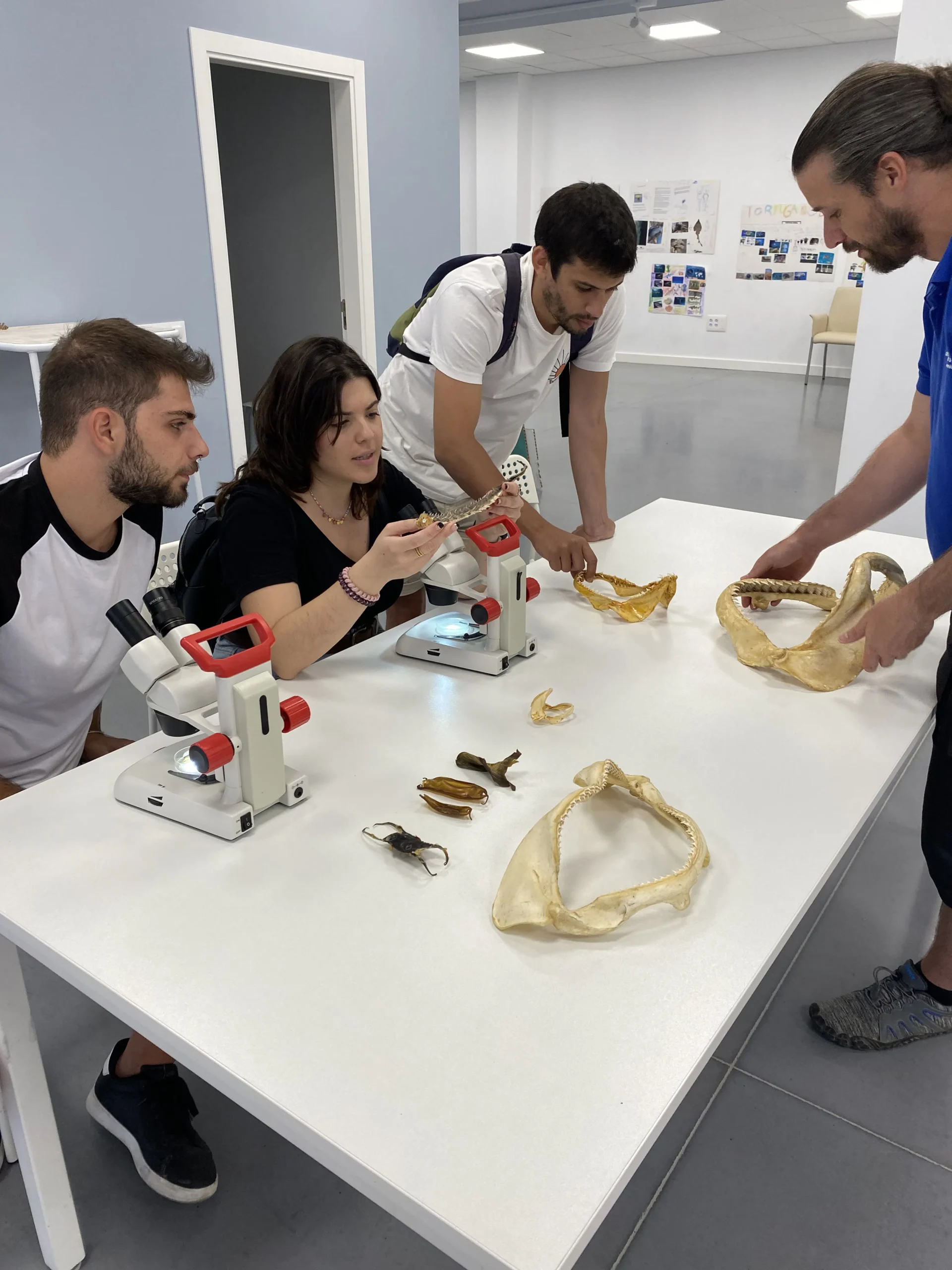 Students in an educational activity at the aquarium