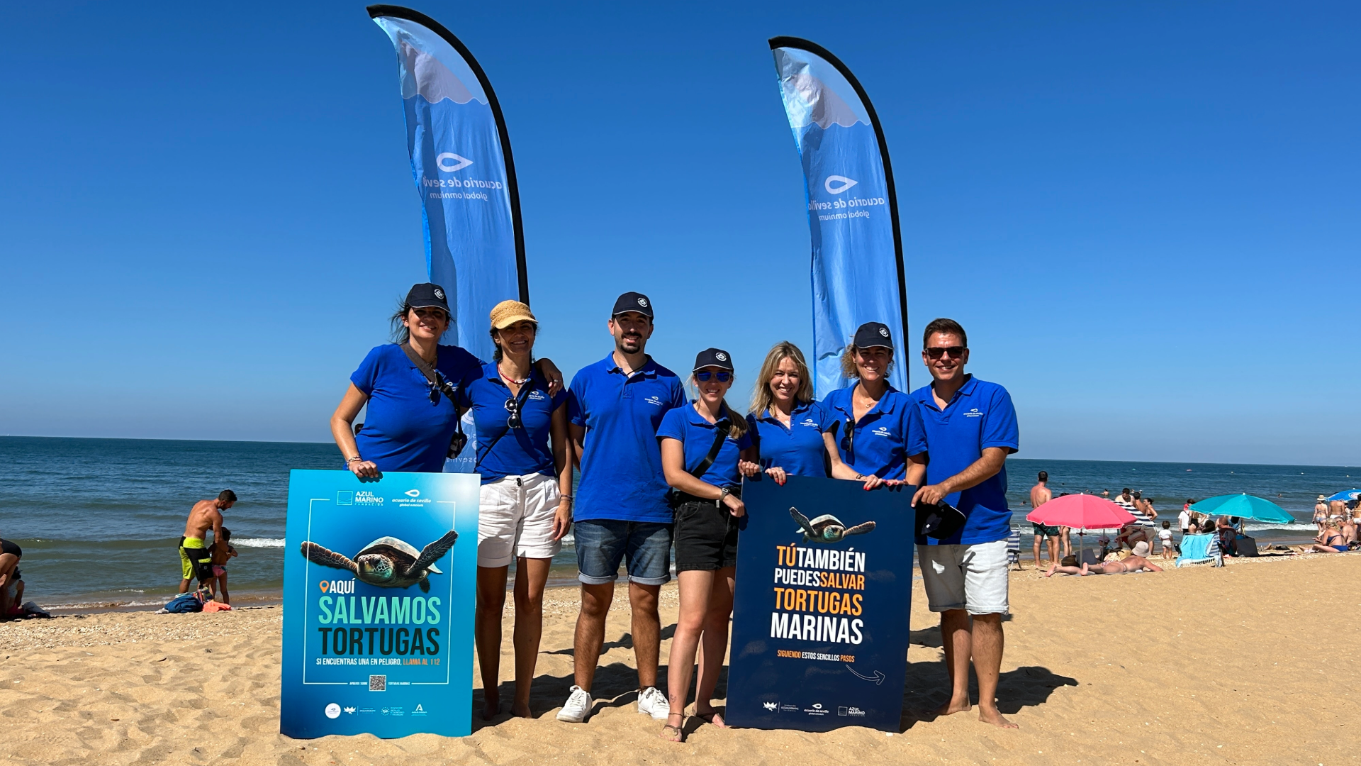 campaña de tortugas en playa