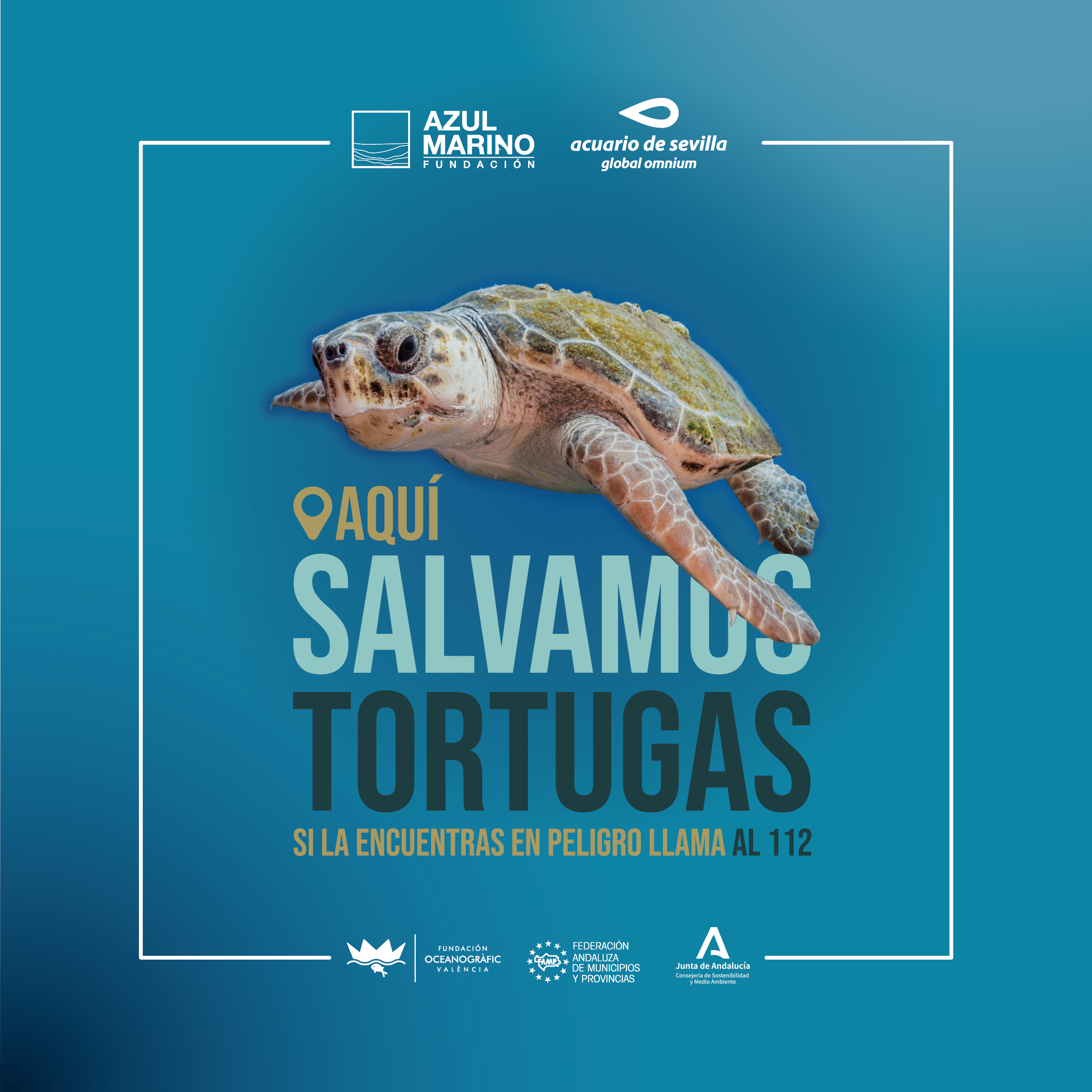 Poster: Here we save turtles 2025 promotional poster for turtle campaign