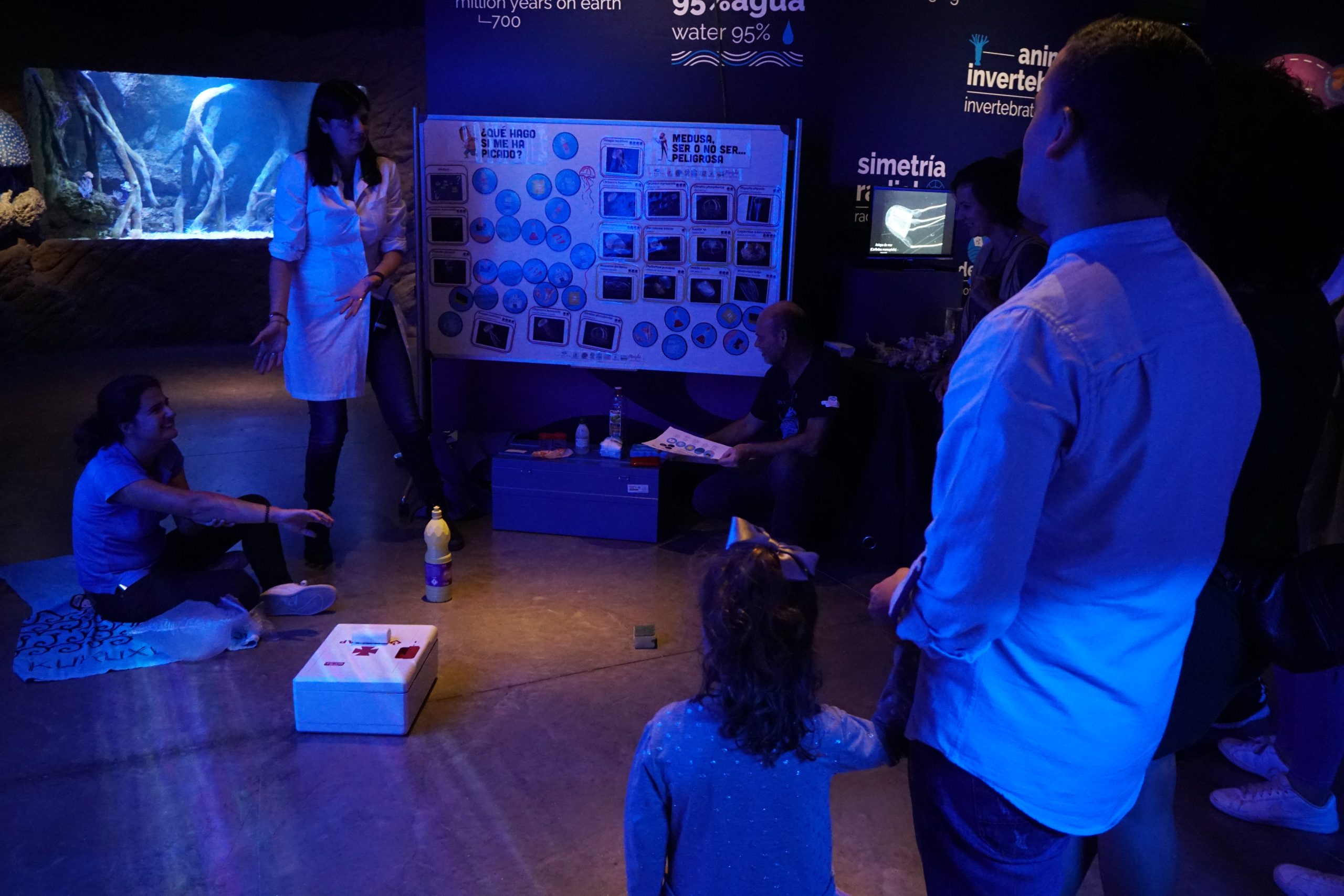 Seville Aquarium jellyfish activity