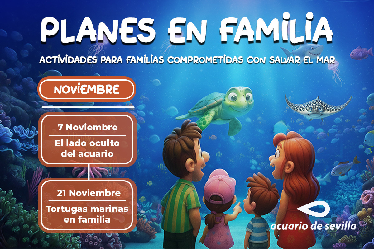 actividades en familia noviembre