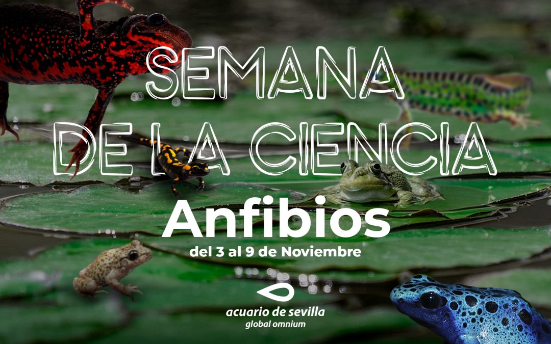 El Acuario de Sevilla participa en la Semana de la Ciencia