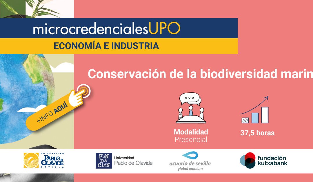 Acuario de Sevilla and Pablo de Olavide University present the course “Marine Biodiversity Conservation”