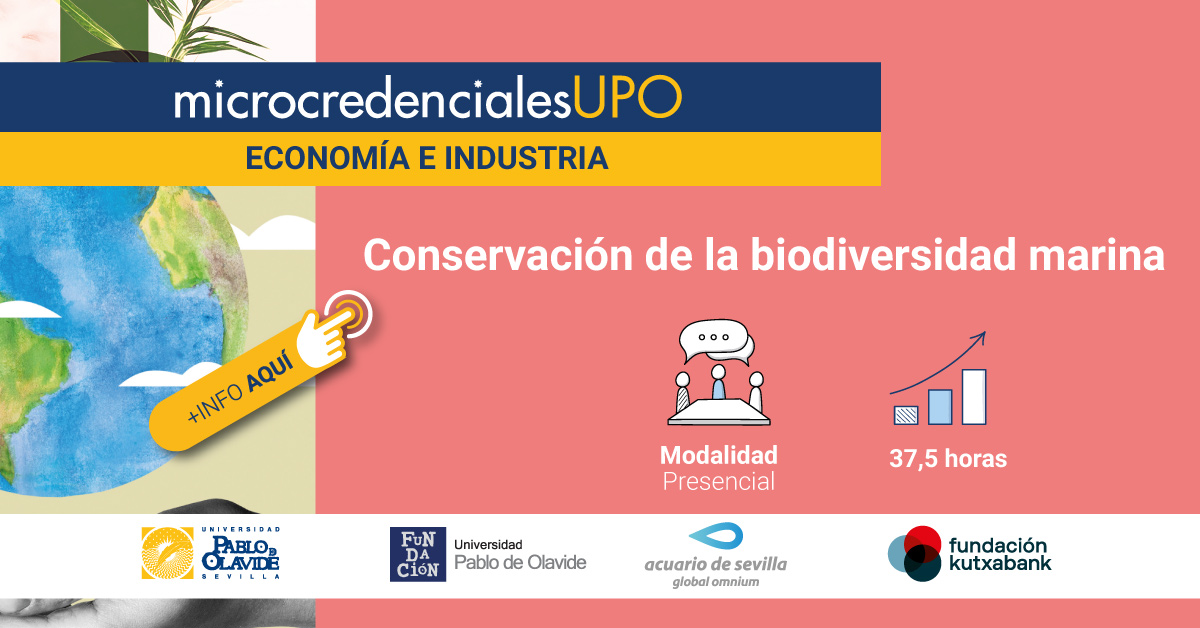 Acuario de Sevilla and Pablo de Olavide University present the course “Marine Biodiversity Conservation”