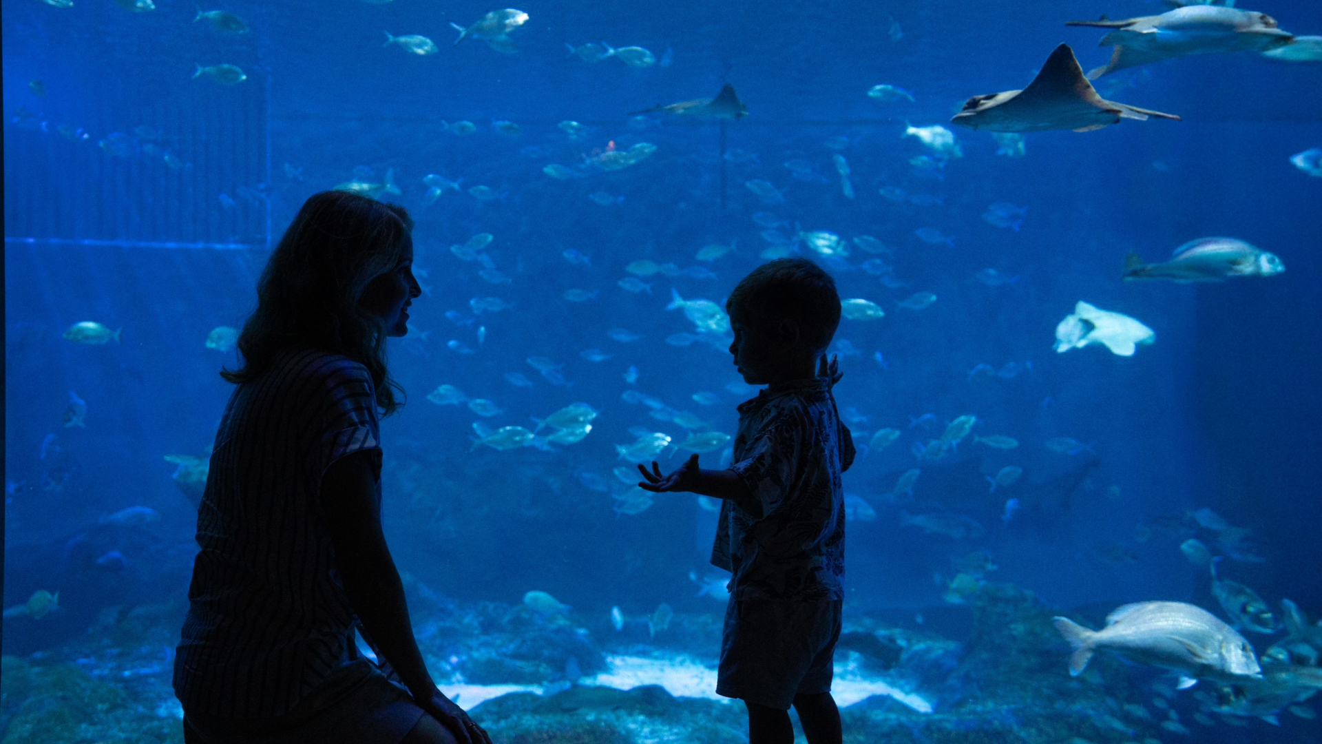 madre e hijo en el acuario