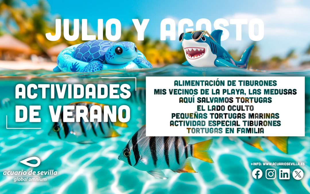 Seville Aquarium invites visitors to enjoy a summer full of experiences and discover the secrets of the ocean
