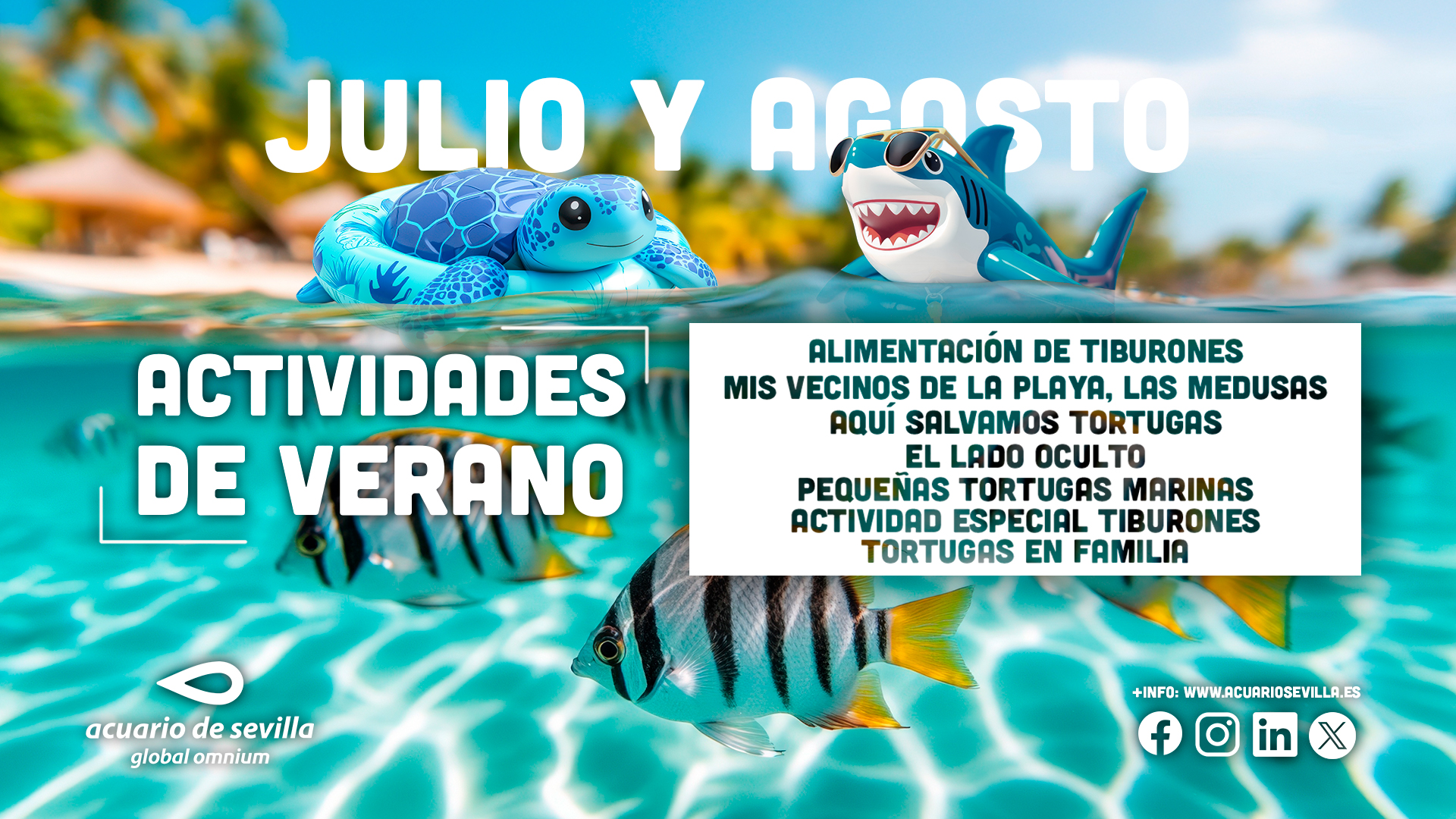 Summer activities poster