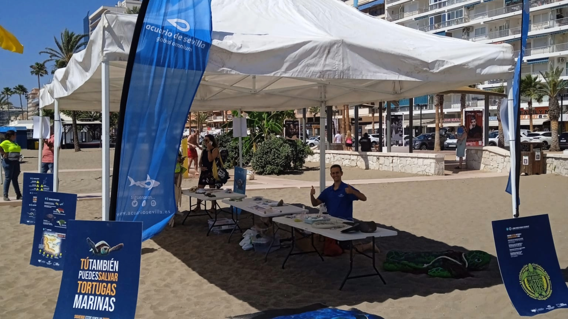 Sea Turtle Educational Activity in Fuengirola