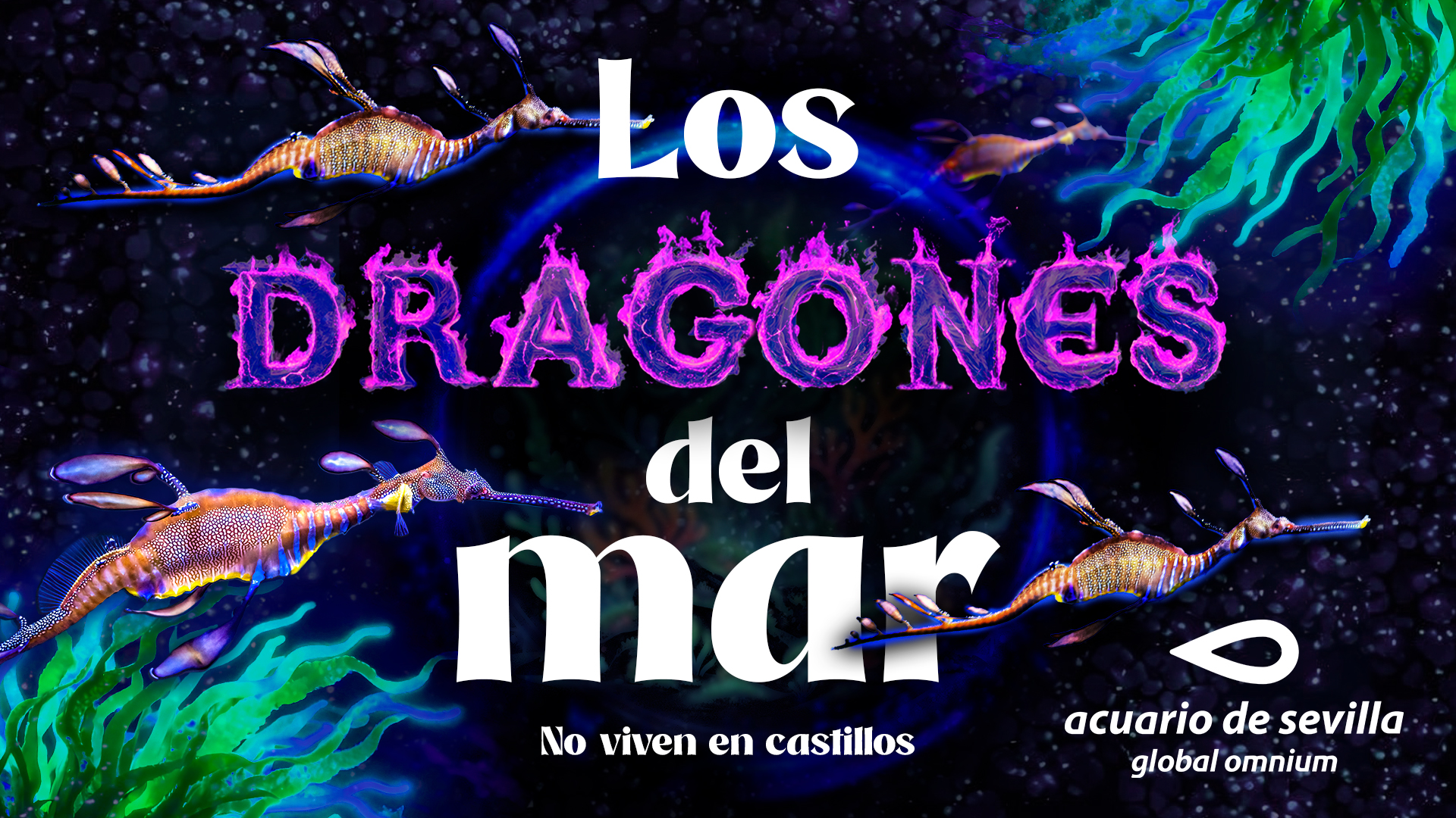 Sea dragons poster