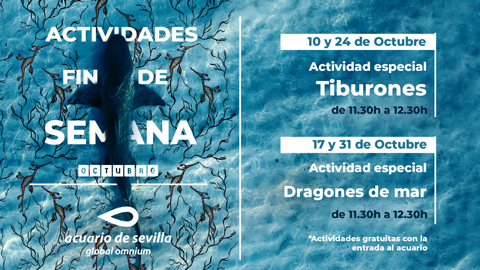 cartel promocional actividades octubre