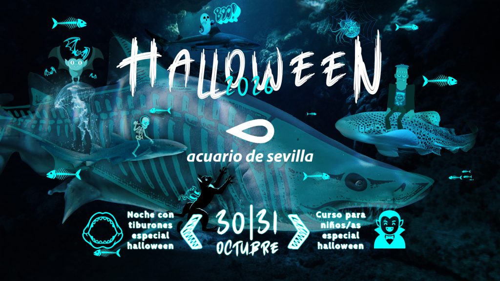 Halloween 2026 cartel halloween 2026